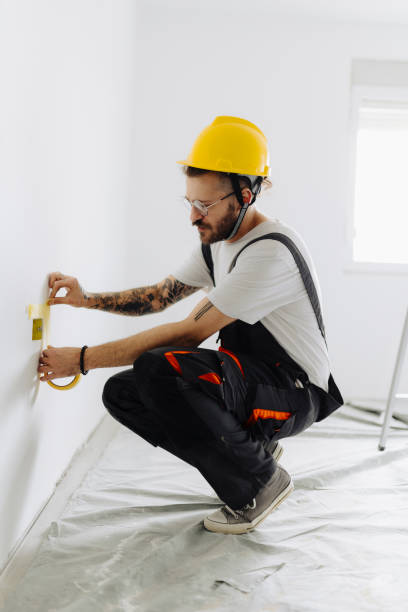 Best Repainting for Renovations  in Smyrna, DE